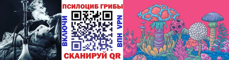 купить наркотики цена  Козловка  Галлюциногенные грибы ЛСД 